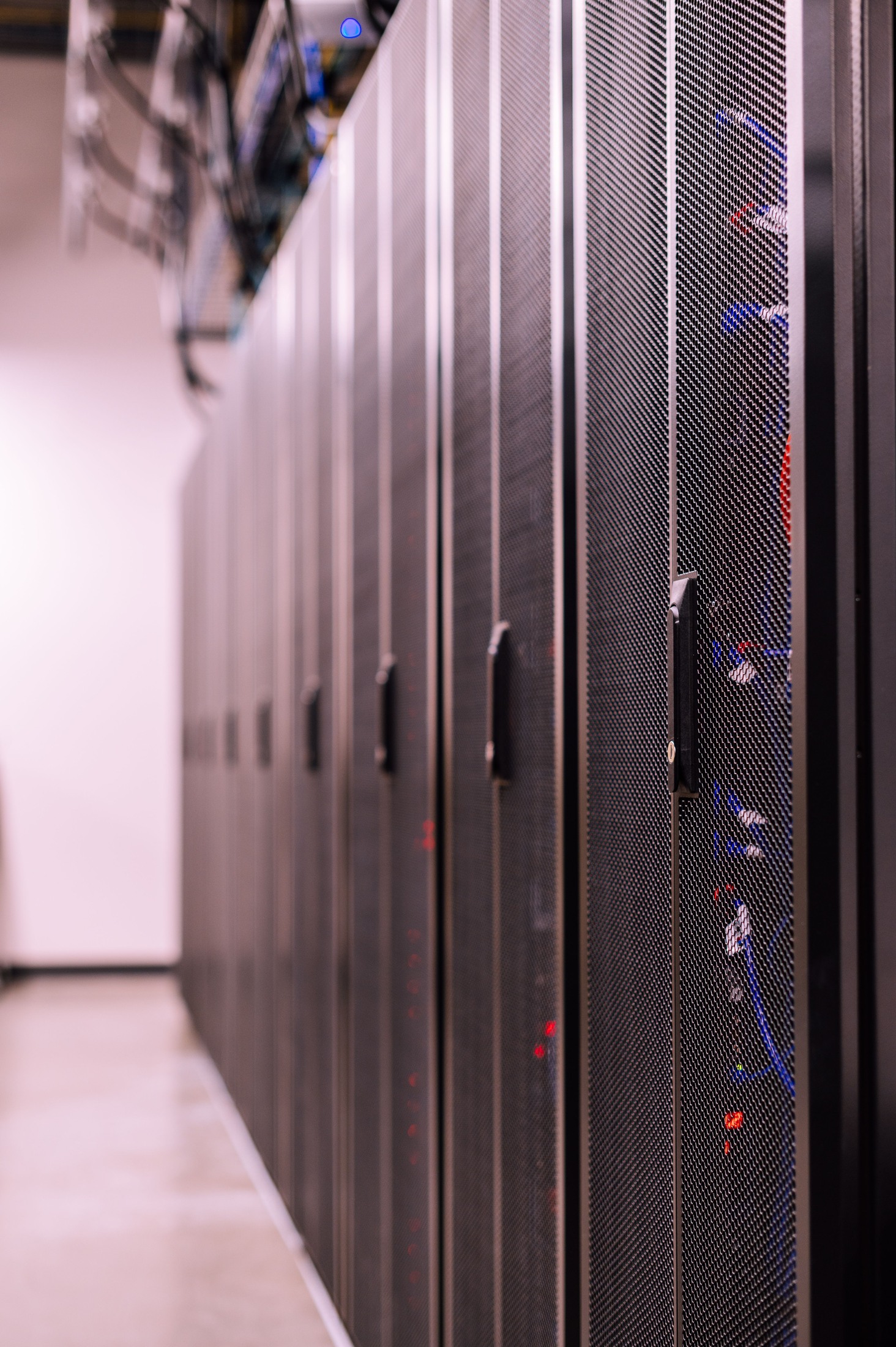Web hosting, domain and business email services